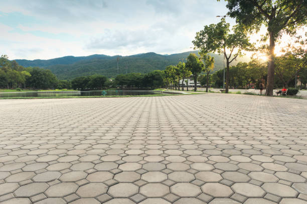 Best Driveway Paver Repairs and Restoration in Curtisville, PA